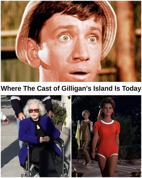 50 Years On: Where The Cast Of Gilligan’s Island Is Today